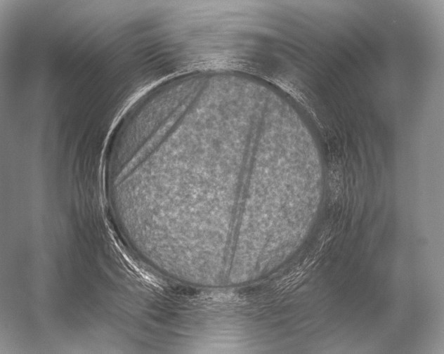 X0000053130886200508081315