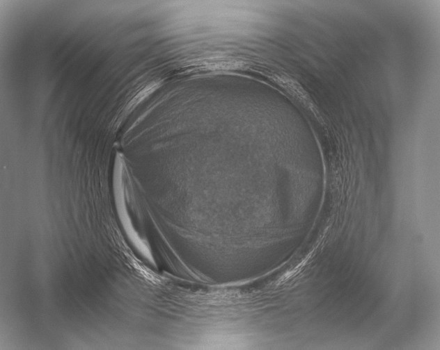 X0000053130889200508081315