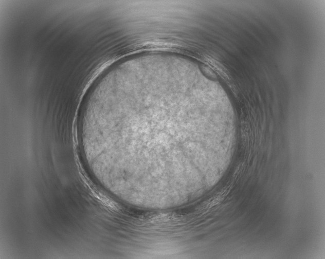 X0000053130891200508081315