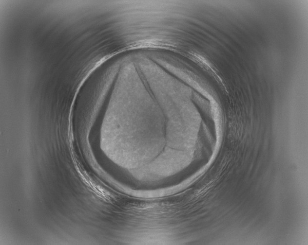 X0000053130892200508081315