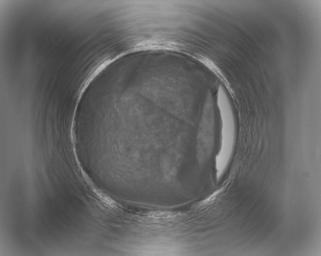 X0000053130893200508081315