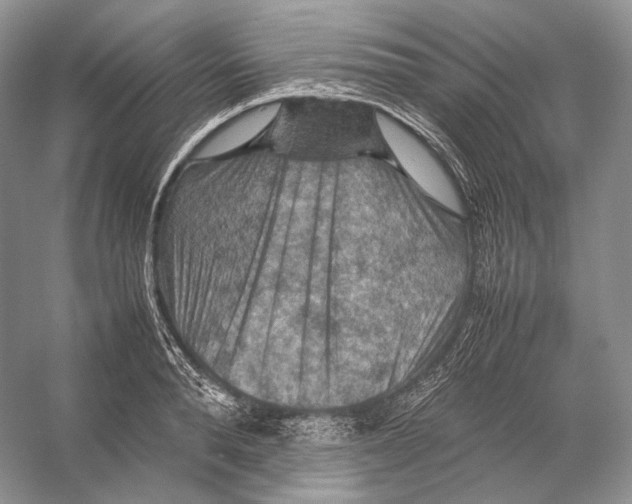 X0000053130896200508081315