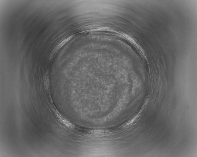 X0000053130897200508081315