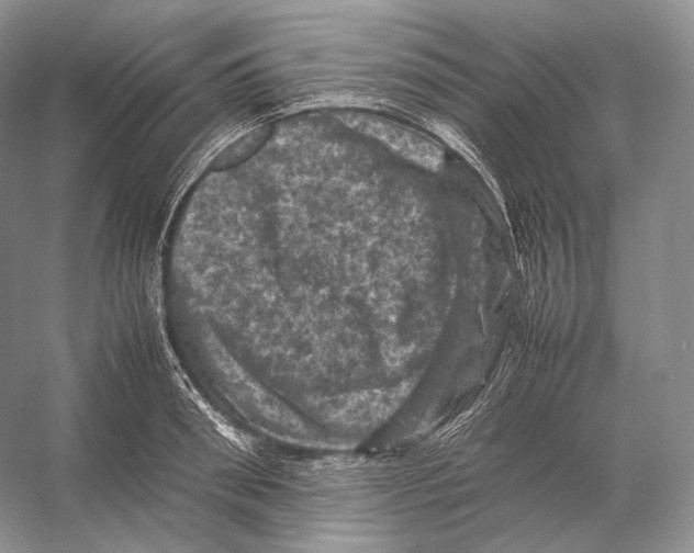 X0000053130898200508081315