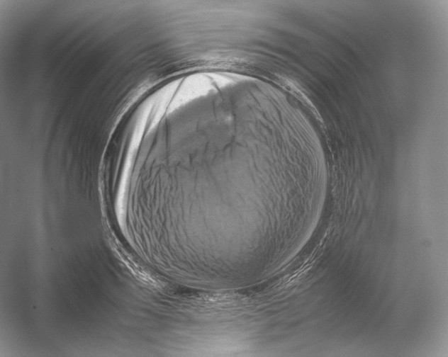 X0000053130899200508081315