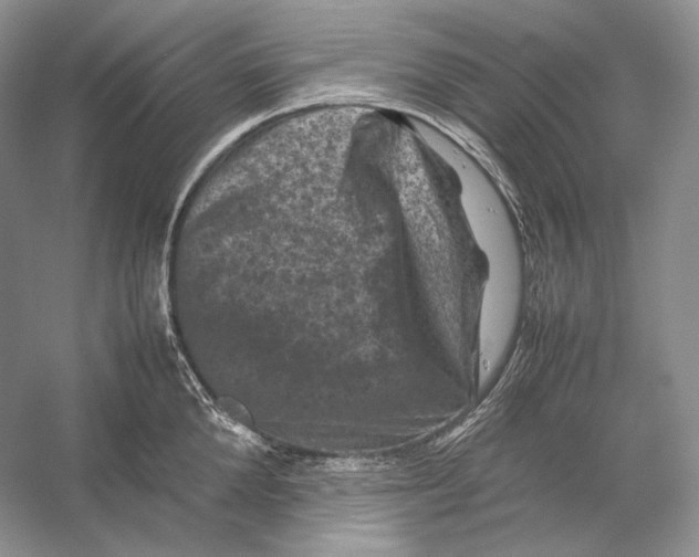 X0000053130904200508081315