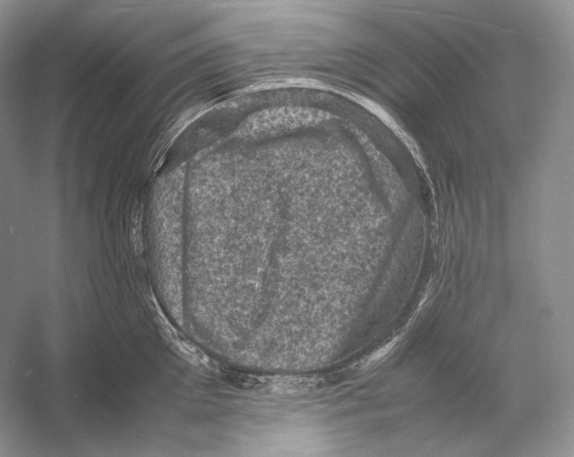 X0000053130905200508081315