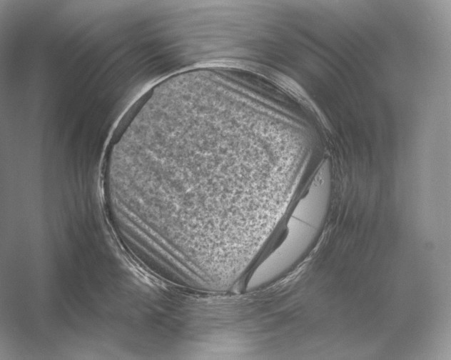 X0000053130908200508081315