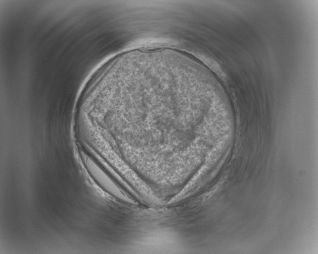 X0000053130912200508081314