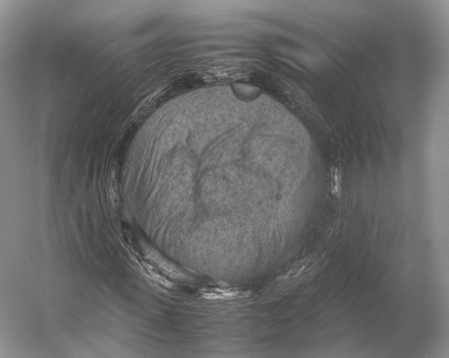 X0000053130915200508081314