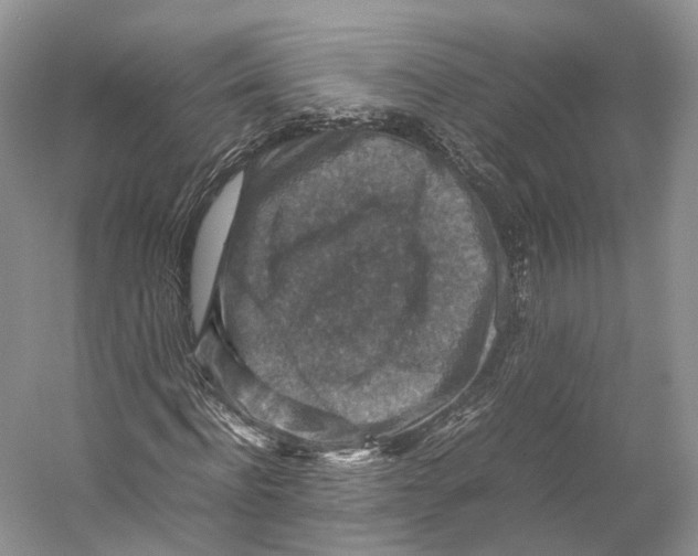 X0000053130916200508081314