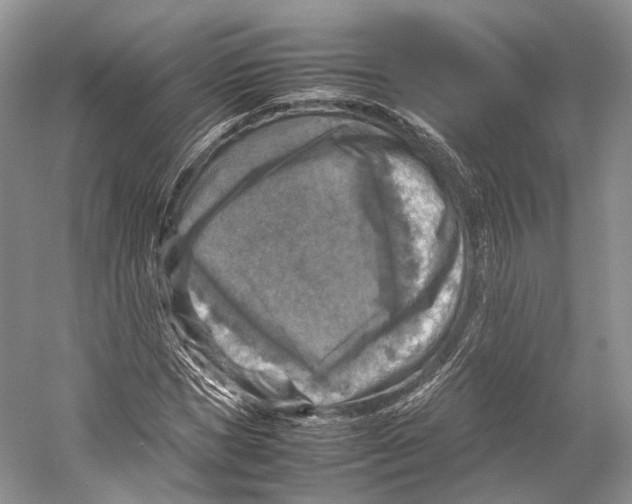 X0000053130921200508081314