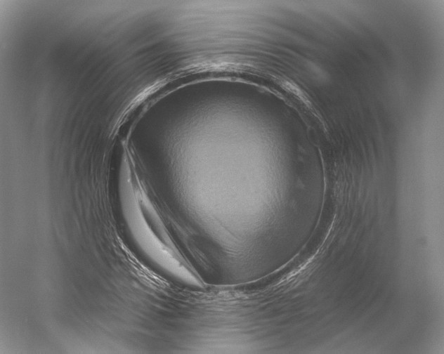 X0000053130922200508081314