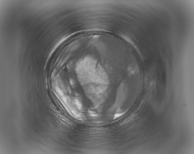X0000053130925200508081314