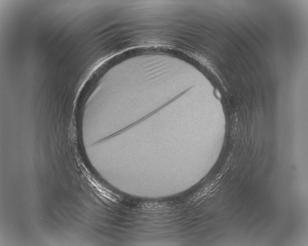 X0000053130927200508081314
