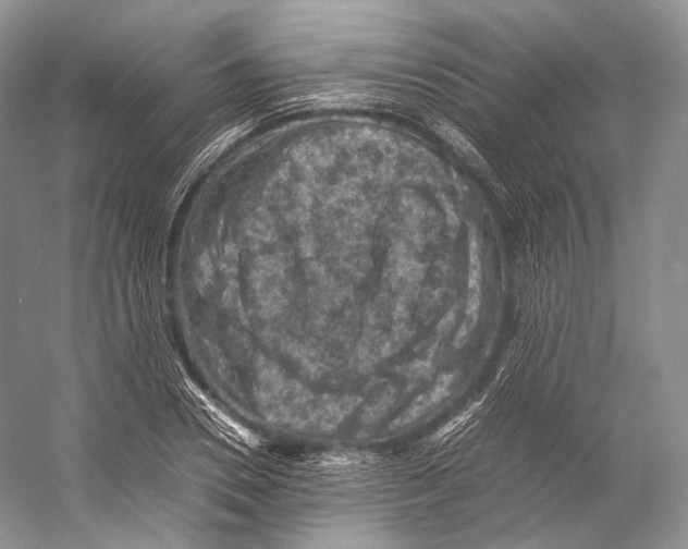 X0000053130930200508081314