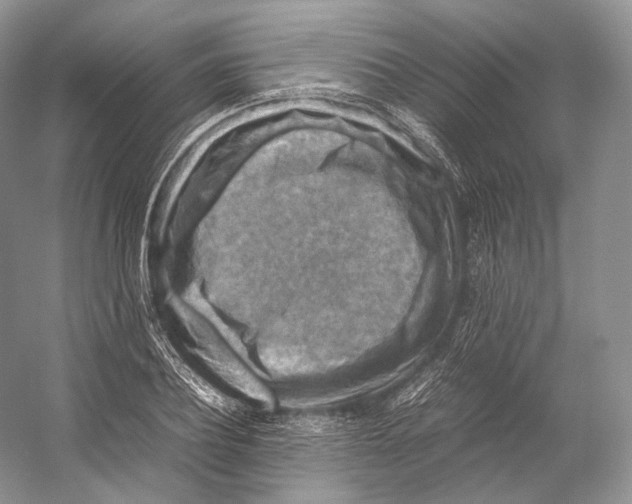 X0000053130932200508081314