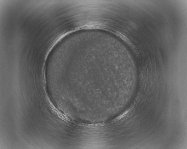 X0000053130934200508081314