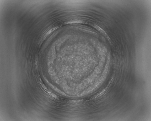 X0000053130937200508081314