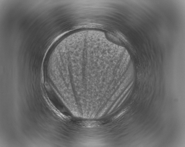 X0000053130940200508081314