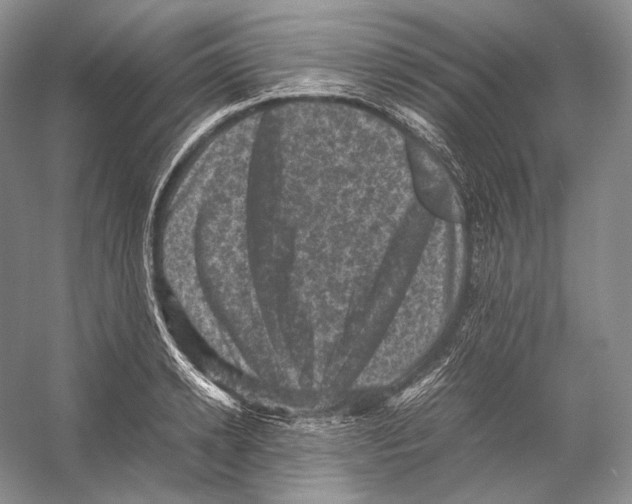 X0000053130942200508081314