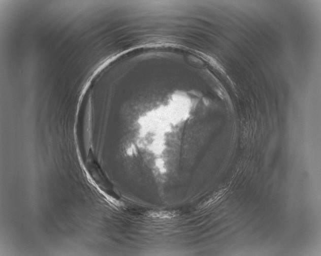 X0000053130943200508081314