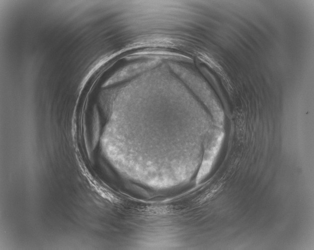 X0000053130944200508081314