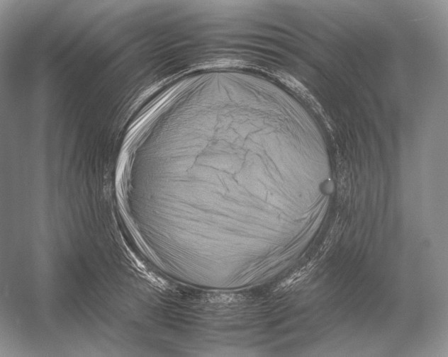 X0000053130945200508081314