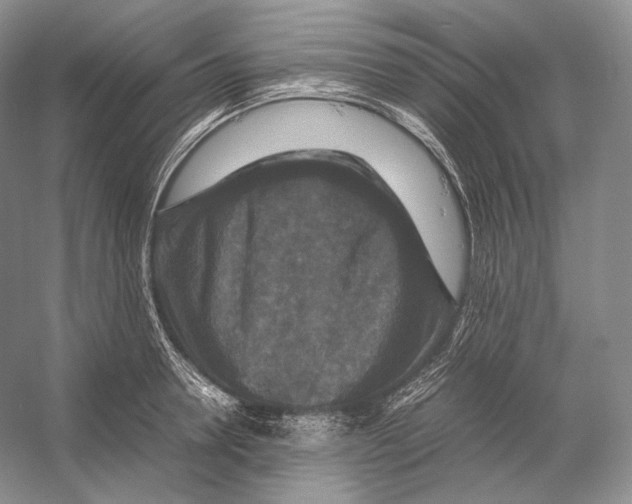 X0000053130946200508081314