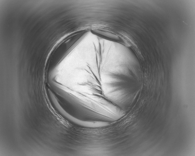 X0000053130948200508081314
