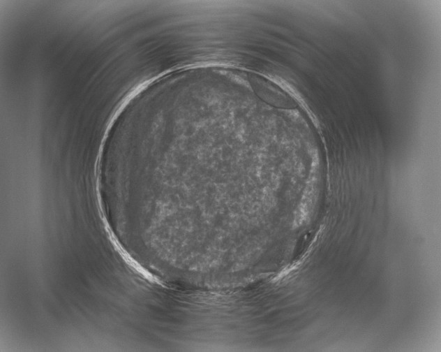 X0000053130949200508081314