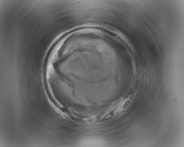 X0000053130958200508081314