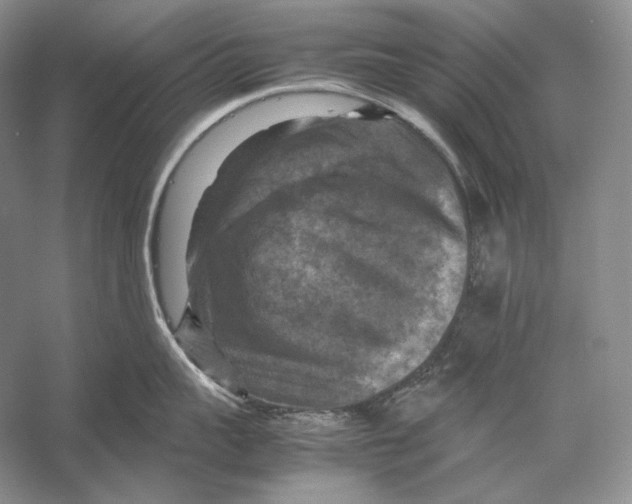 X0000053130959200508081314