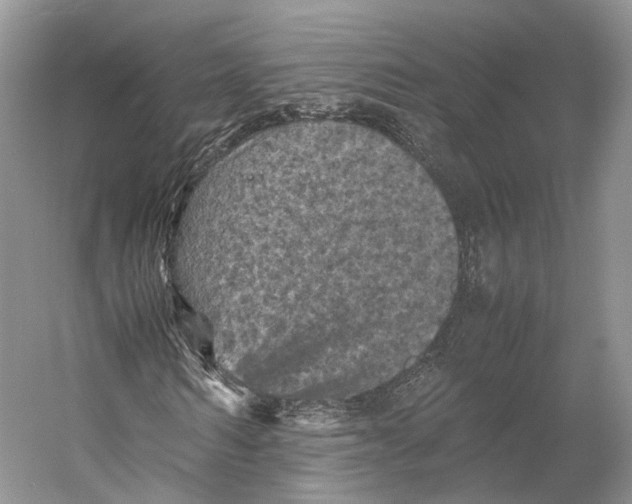 X0000053130962200508081314