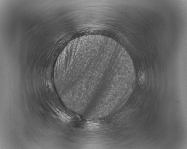 X0000053130964200508081314