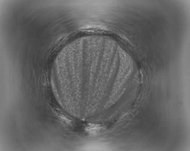 X0000053130965200508081314