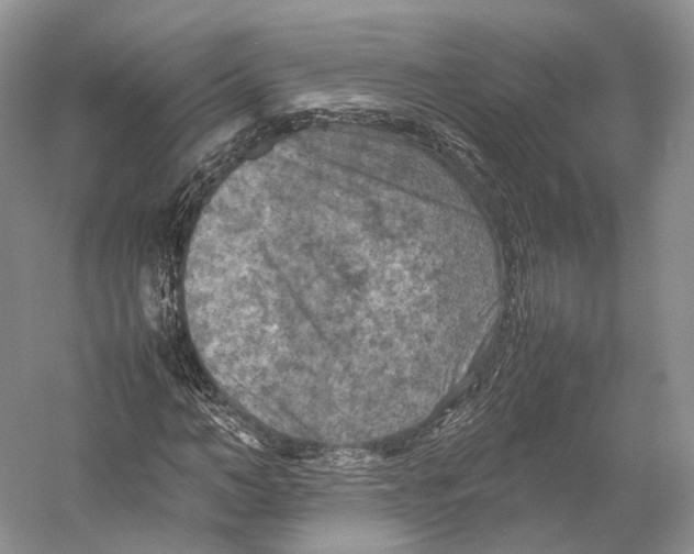 X0000053130966200508081314