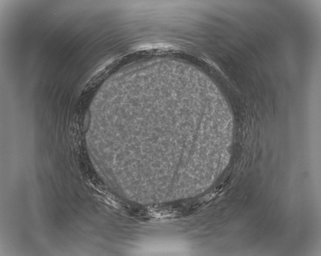 X0000053130967200508081314