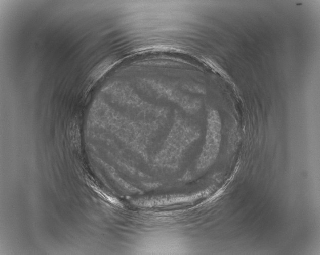 X0000053130969200508081313