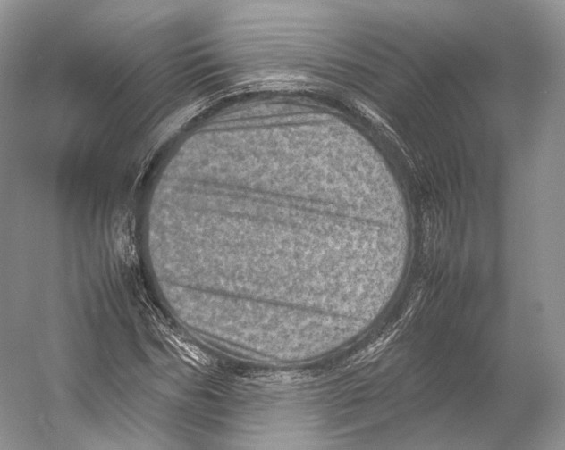 X0000053130970200508081313