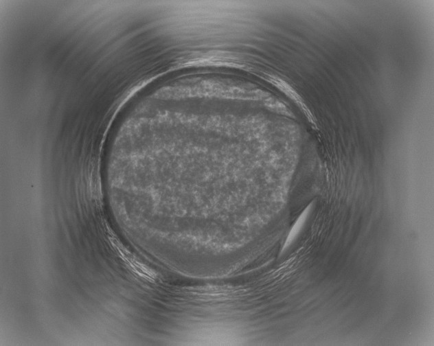 X0000053130980200508081313