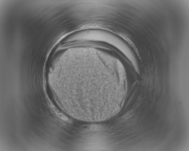 X0000053130984200508081313