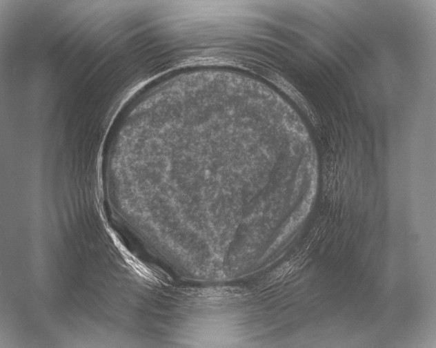 X0000053130988200508081313