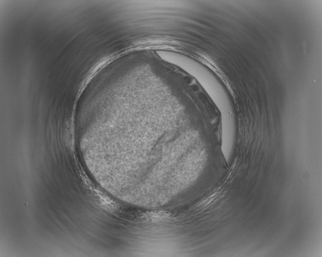 X0000053130994200508081313