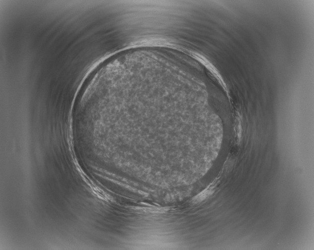 X0000053130996200508081313