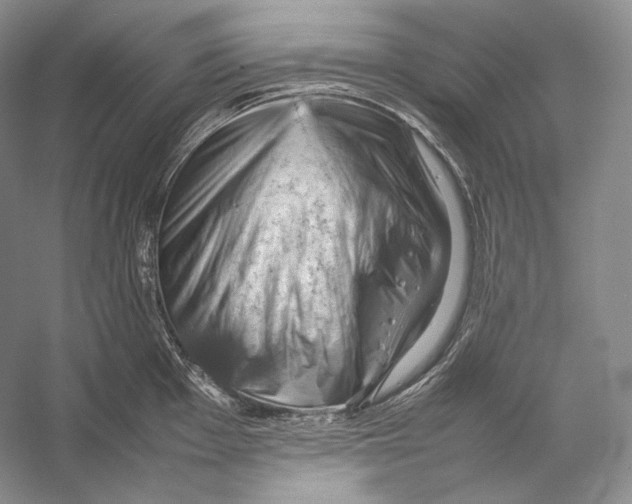 X0000053131001200508081313