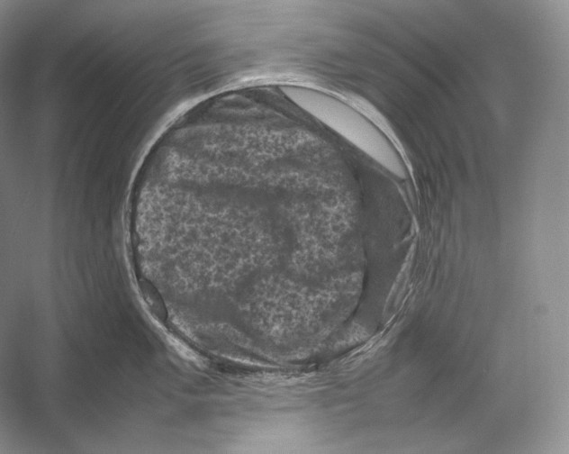X0000053131005200508081313