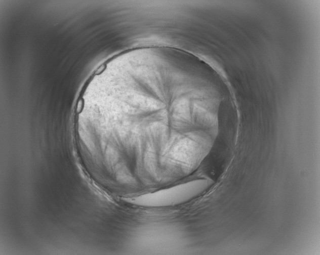 X0000053131008200508081313