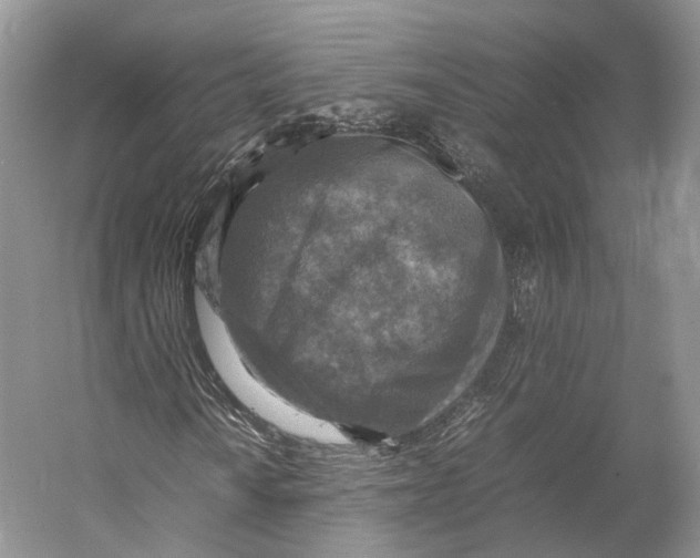 X0000053131010200508081312