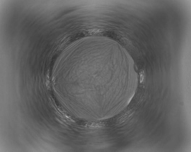 X0000053131011200508081312